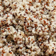 #09 - Pick Your Protein Quinoa Chef Bowl
