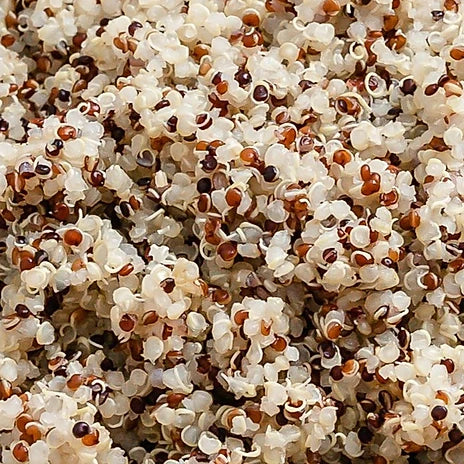 #09 - Pick Your Protein Quinoa Chef Bowl