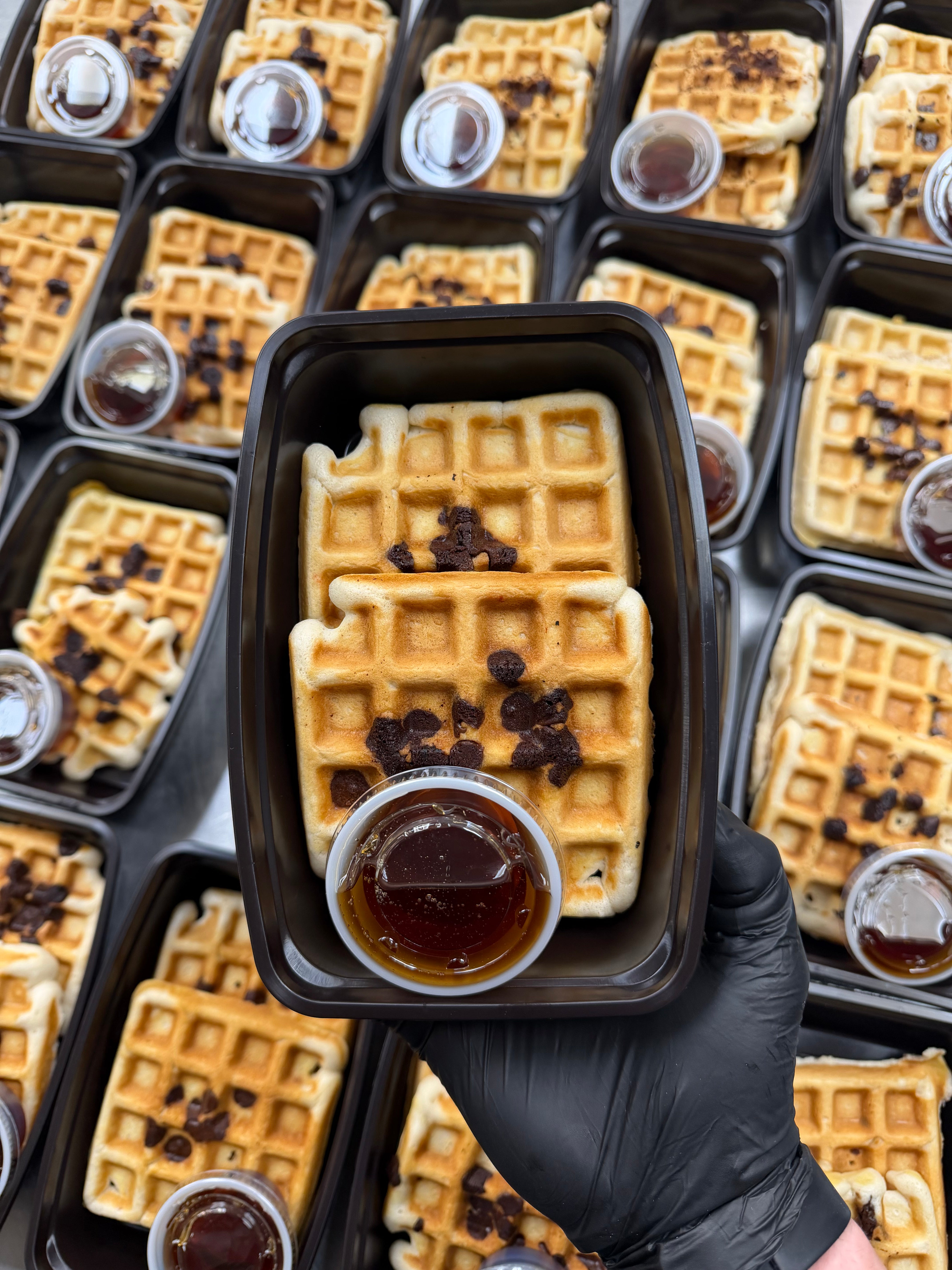 #55 - Chocolate Chip Protein Waffles