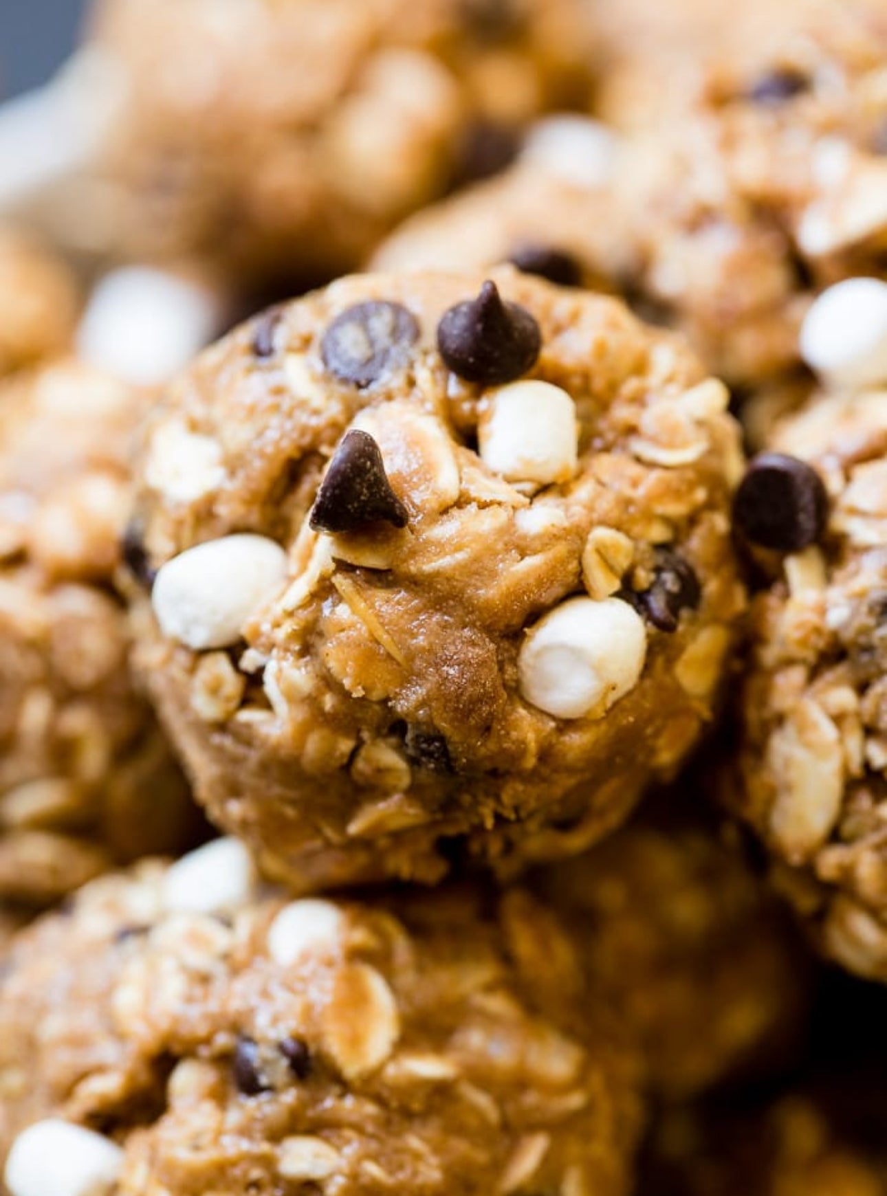 S'Mores Protein Bites (Dozen)